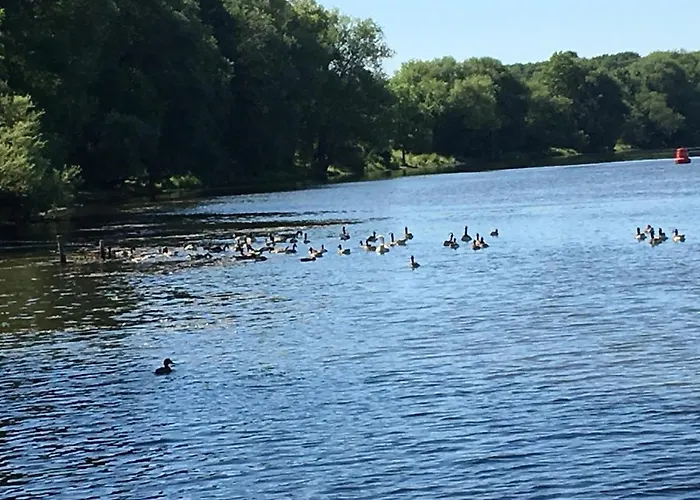 Apartment Apartment Lazoroski Arcen *